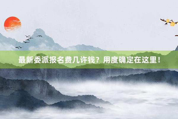 最新委派报名费几许钱？用度确定在这里！