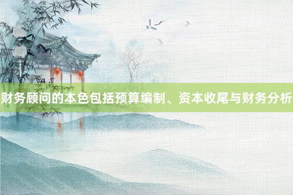 财务顾问的本色包括预算编制、资本收尾与财务分析