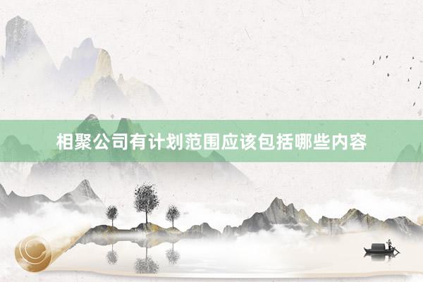相聚公司有计划范围应该包括哪些内容