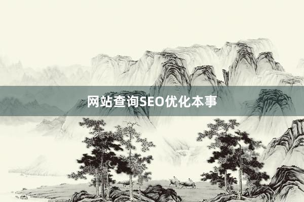 网站查询SEO优化本事