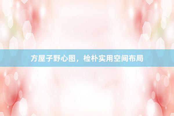 方屋子野心图，检朴实用空间布局